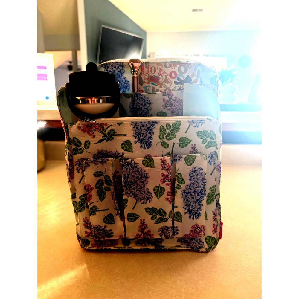 Backpack/bag organizer
